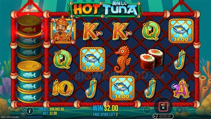 jilijili Effective Bankroll Management